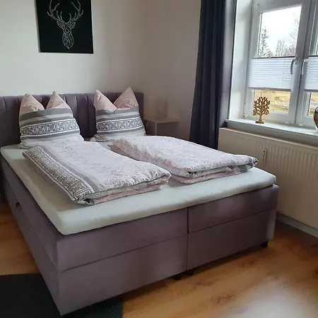 Haus Sonnenblick * Benneckenstein